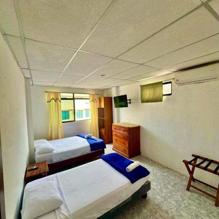 Hostal Gardner - Suite - 6