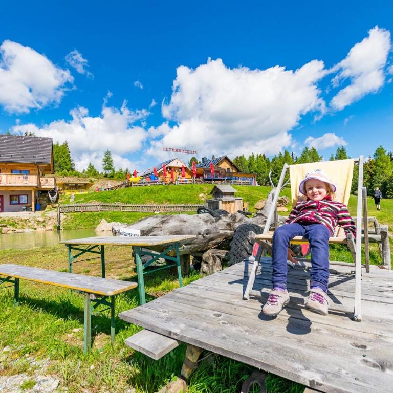 Riegleralm - Ferienhaus - 2