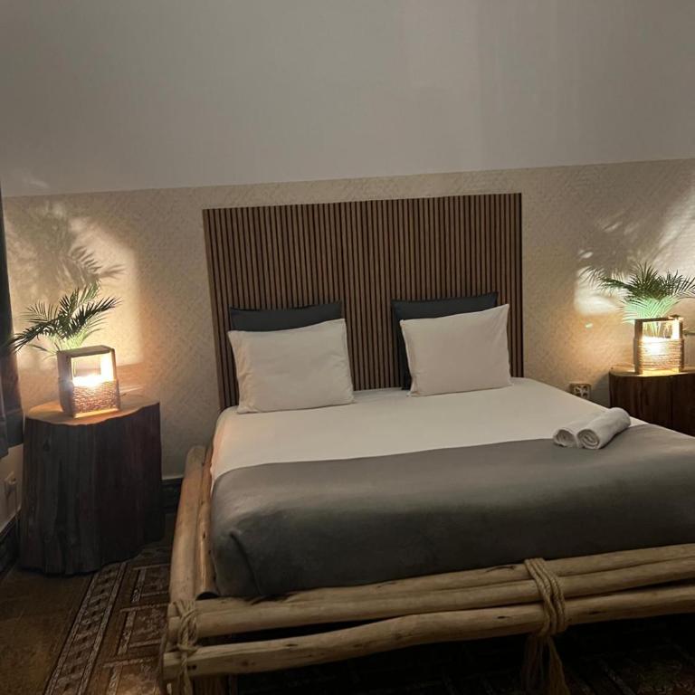 Cactus Host - Suite - 11