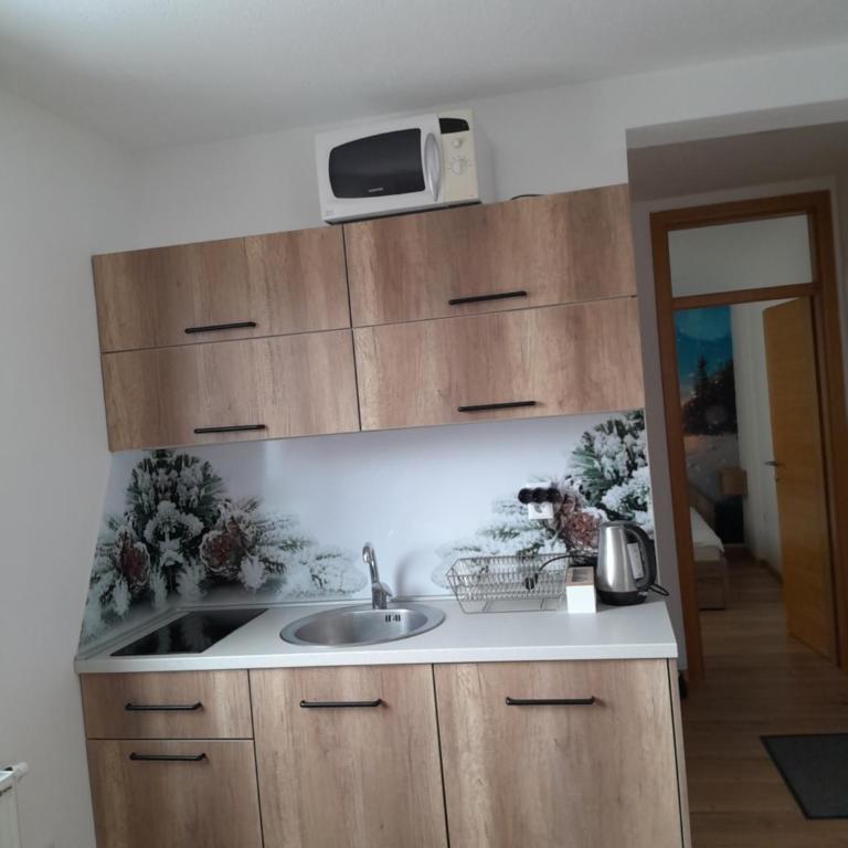 Magična planina - One-Bedroom Apartment - 5