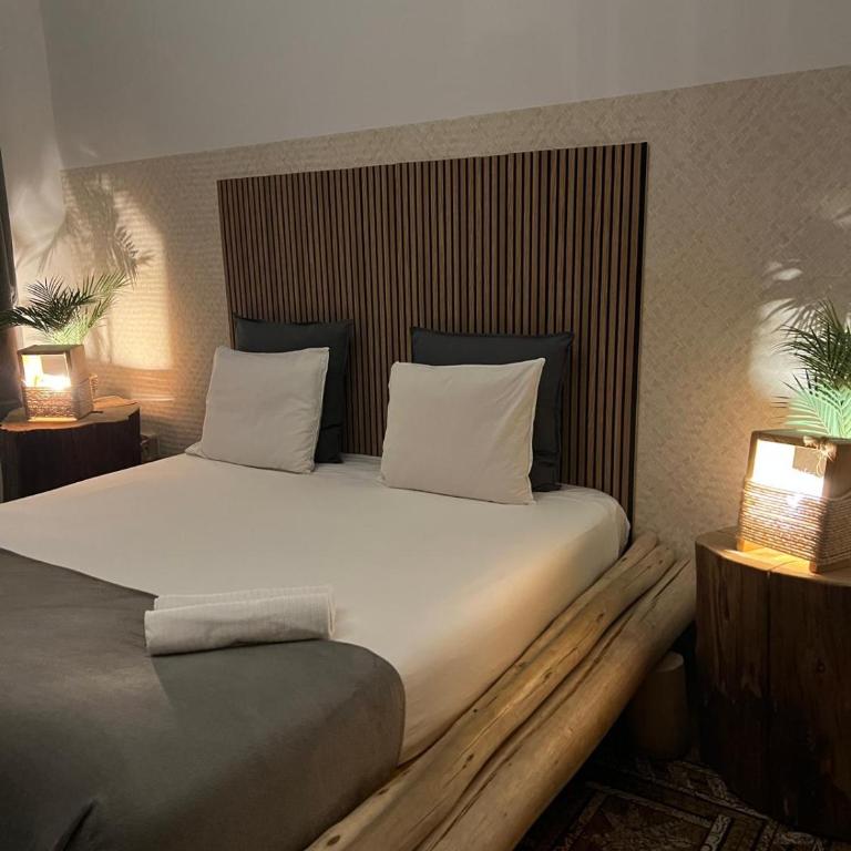 Cactus Host - Suite Doble Estándar - 14