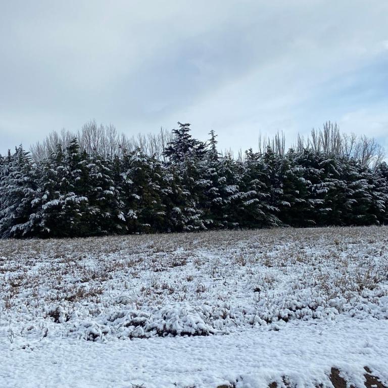 Mahuida Lodge Valle de Uco - Casa con 1 dormitorio - 12