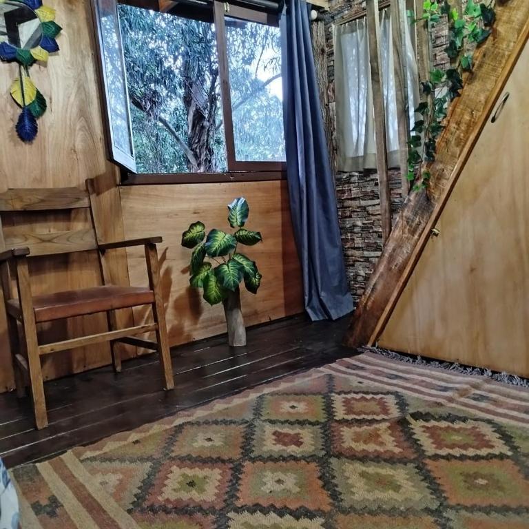 Broto del fuego - Casa con 1 dormitorio - 4