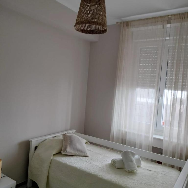 plaza esteve - Apartamento de 3 dormitorios - 15