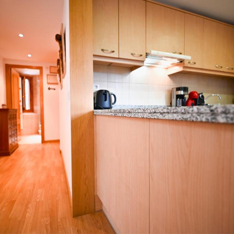 Refugio Amplio con Vistas y Parking I Eslalom - Appartement - 16