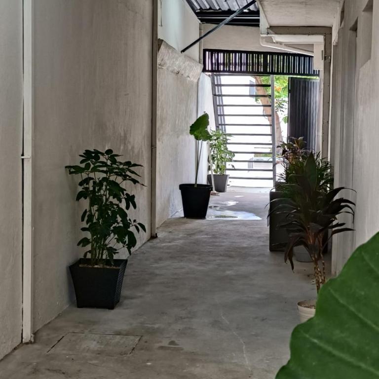 Deptos Modernos Colonia México - Apartment - Ground Floor - 2