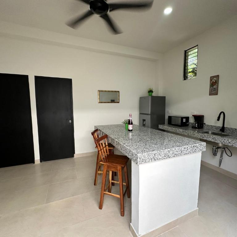 Deptos Modernos Colonia México - Apartment - Ground Floor - 9