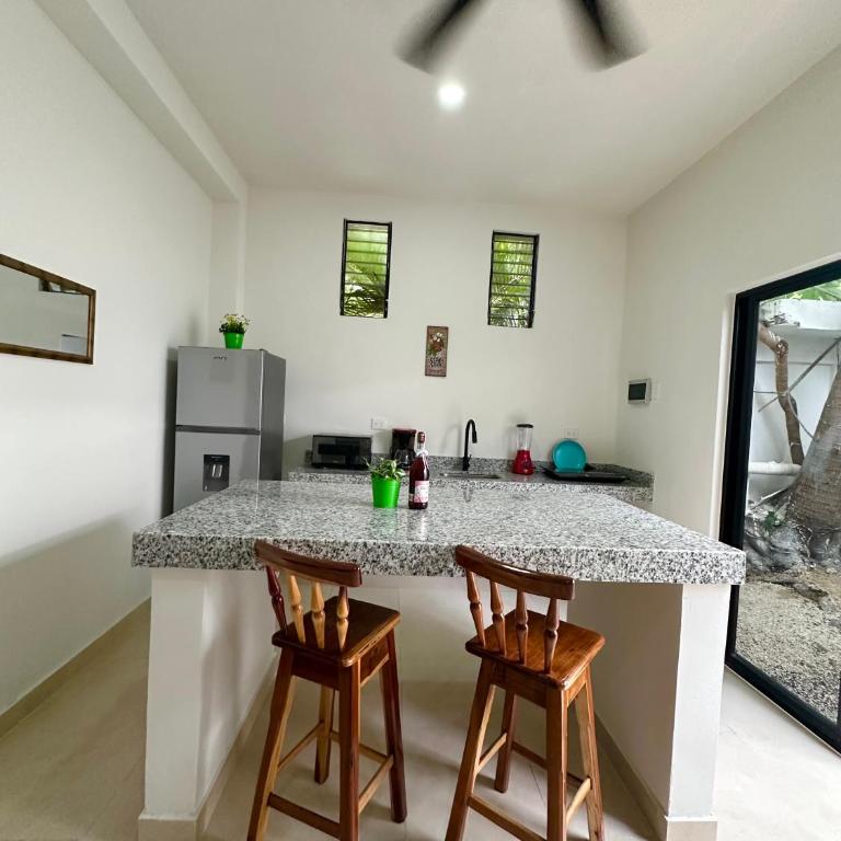 Deptos Modernos Colonia México - Apartment - Ground Floor - 10