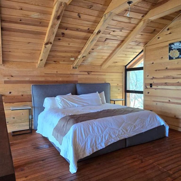 La Cabaña 16 Mazamitla - Casa con 1 dormitorio - 11