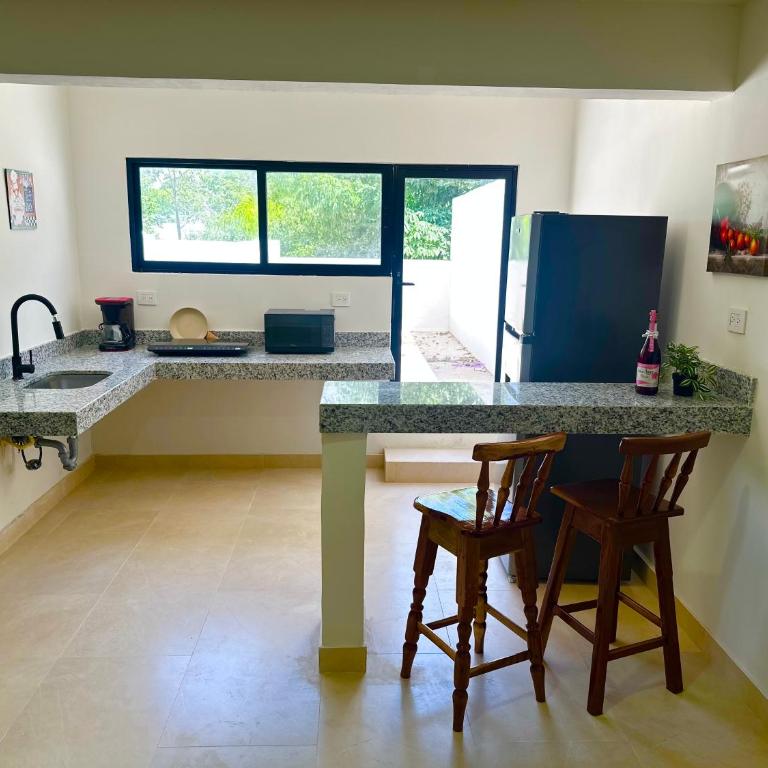 Deptos Modernos Colonia México - Apartment - 13