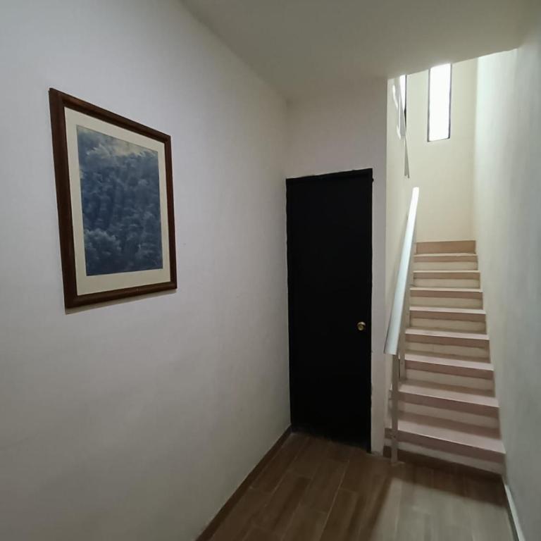 Deptos Modernos Colonia México - Apartment - 16