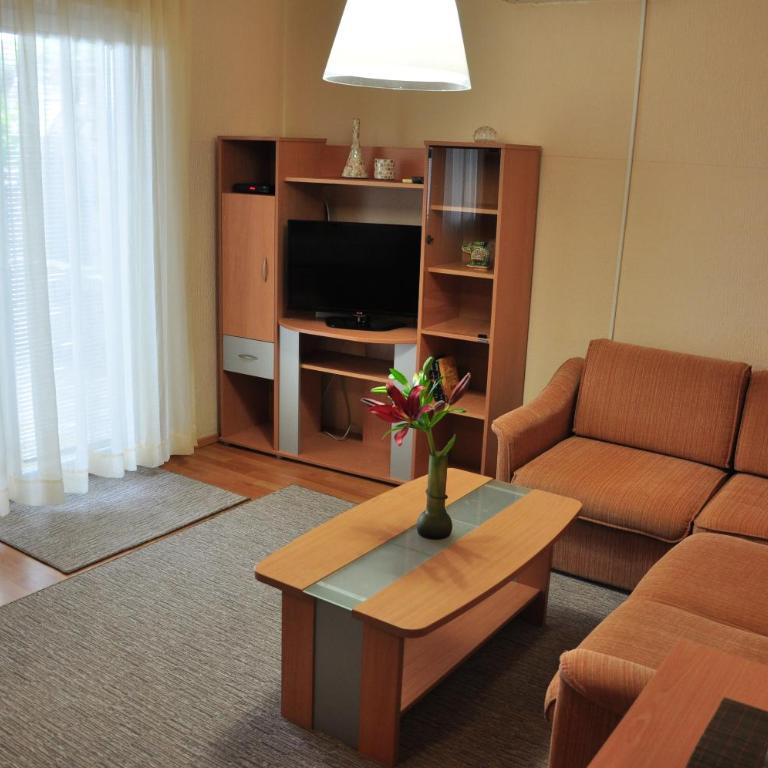 Comfort Apartments - Apartment with Garden View - 13