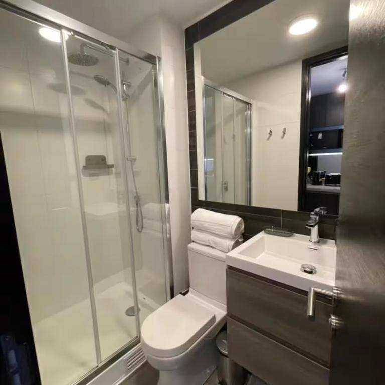 Confort al Máximo en Santiago - Apartamento de 1 dormitorio - 10