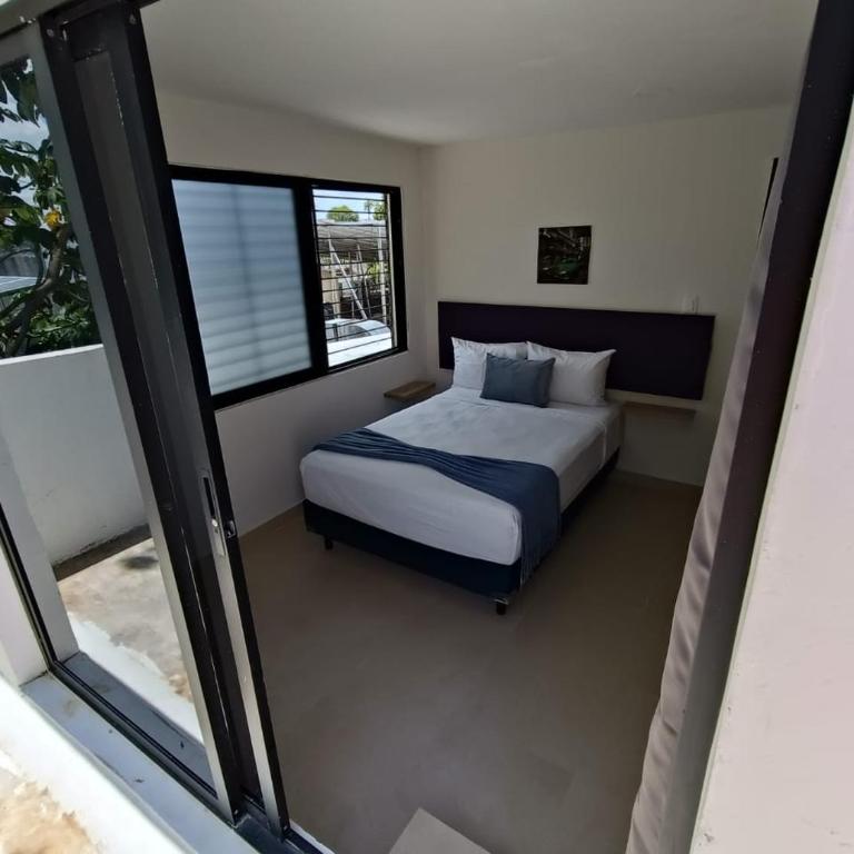 Deptos Modernos Colonia México - Apartment - 17