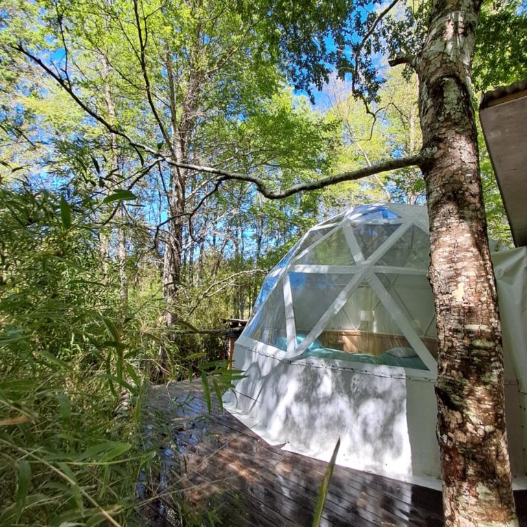 Domos Conguillío - Cabaña en el bosque - Two-Bedroom House - 13