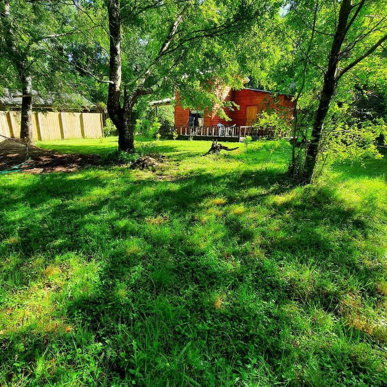 Domos Conguillío - Cabaña en el bosque - Two-Bedroom House - 19
