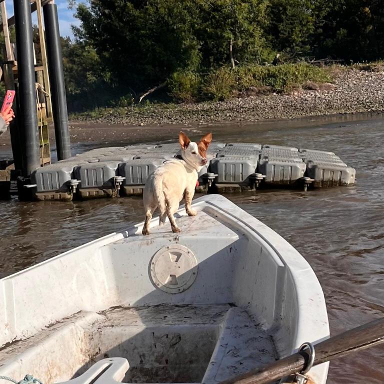 Reserva los Bollenes - Casa Unifamiliar de 2 dormitorios - 8