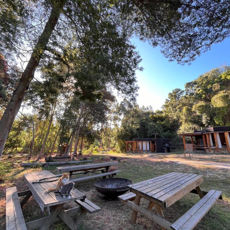 Reserva los Bollenes - Casa Unifamiliar de 2 dormitorios - 1