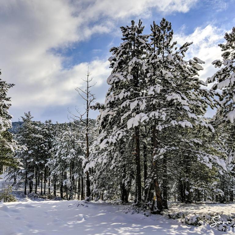 Apartman L&A Palisad sa garažom - Apartman sa 1 Spavaćom Sobom - 32