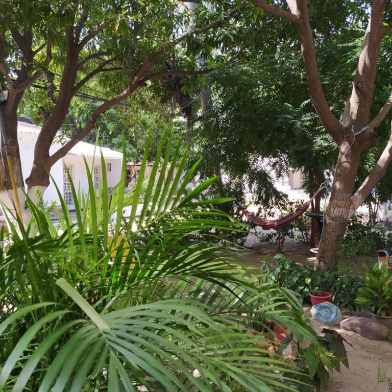 CASA VALENTINA DEL MAR-RODADERO-SANTA MARTA - Habitación Doble Familiar - 11