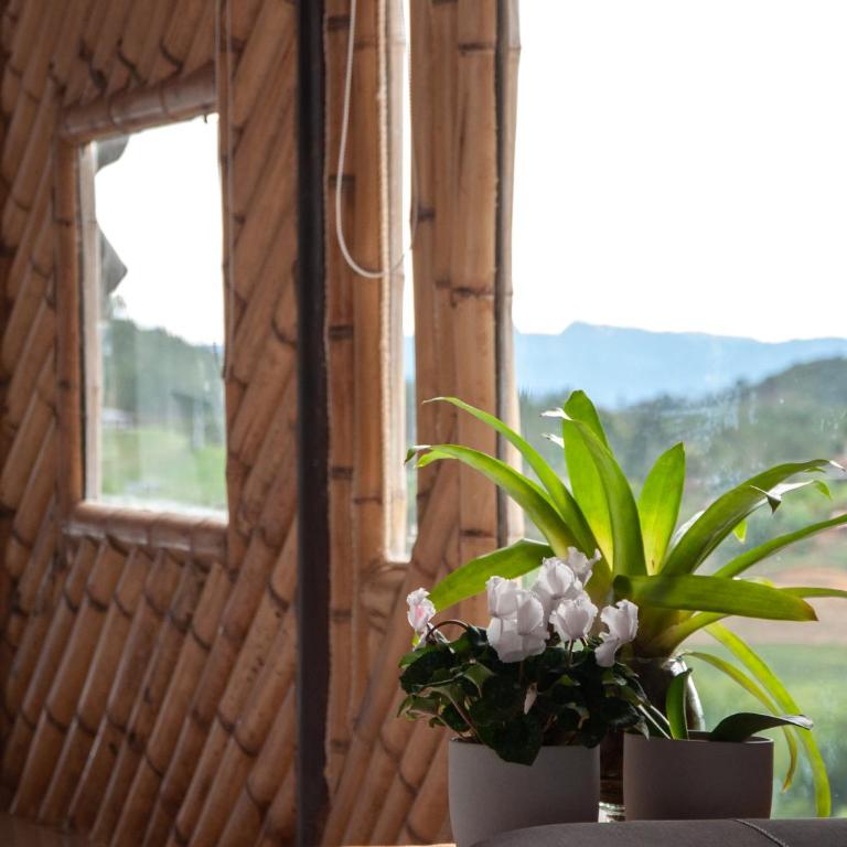 PIA COLOMBIA - Suite Presidencial - 3