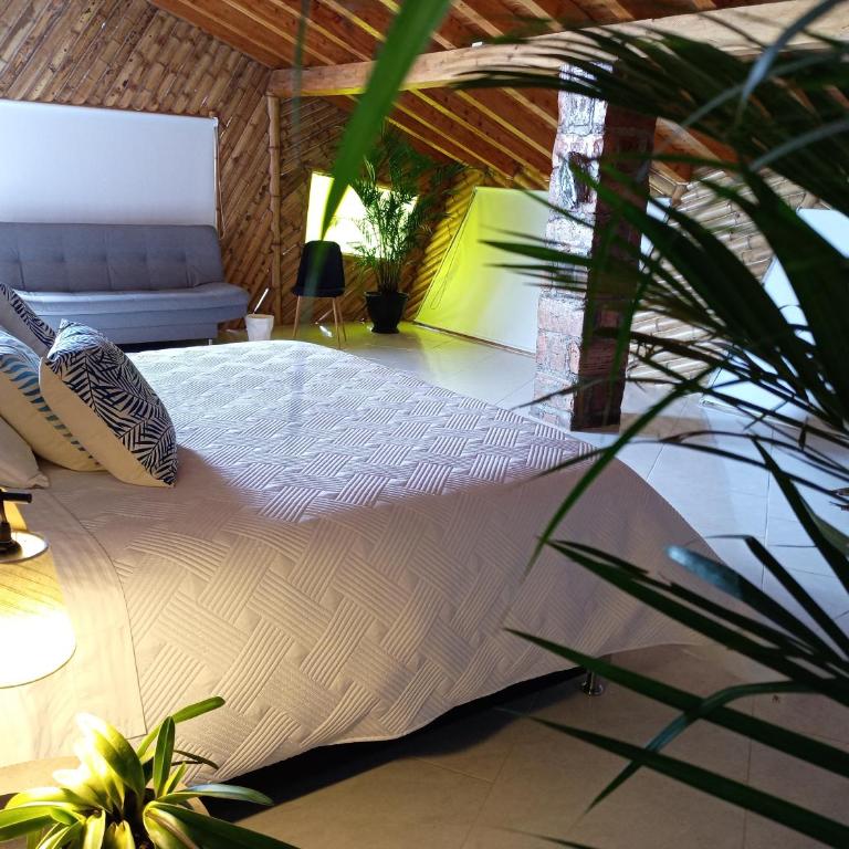 PIA COLOMBIA - Suite Presidencial - 8