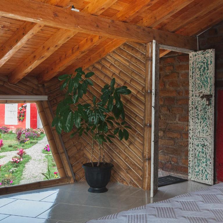 PIA COLOMBIA - Suite Presidencial - 11