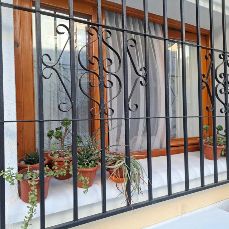 Paraíso Veracoast - Apartamento de 1 dormitorio - 11