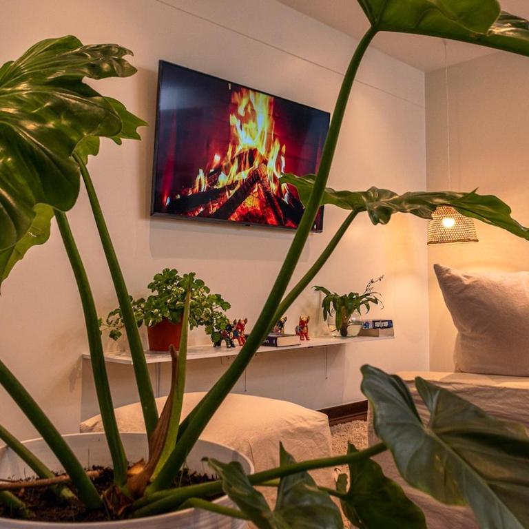 NunaAtelier - Apartamento de 3 dormitorios - 25