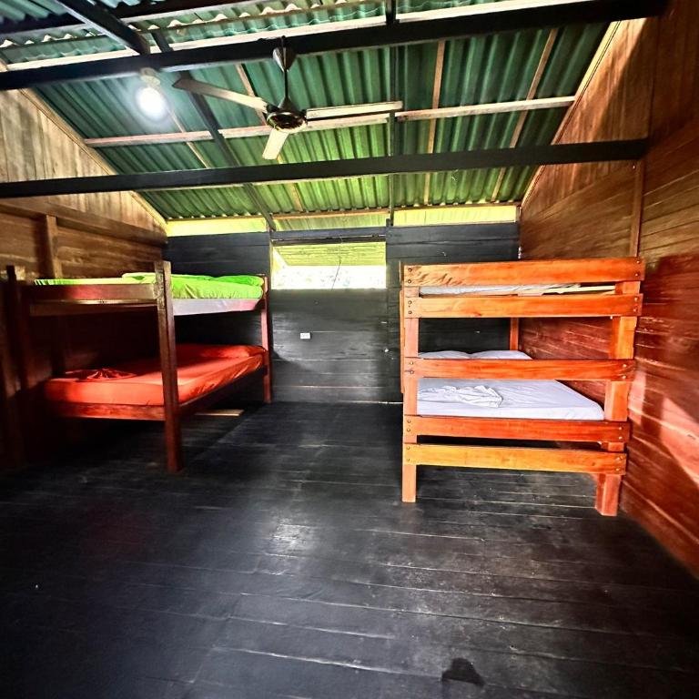 Casa Cachalote - Litera en habitación compartida mixta - 3