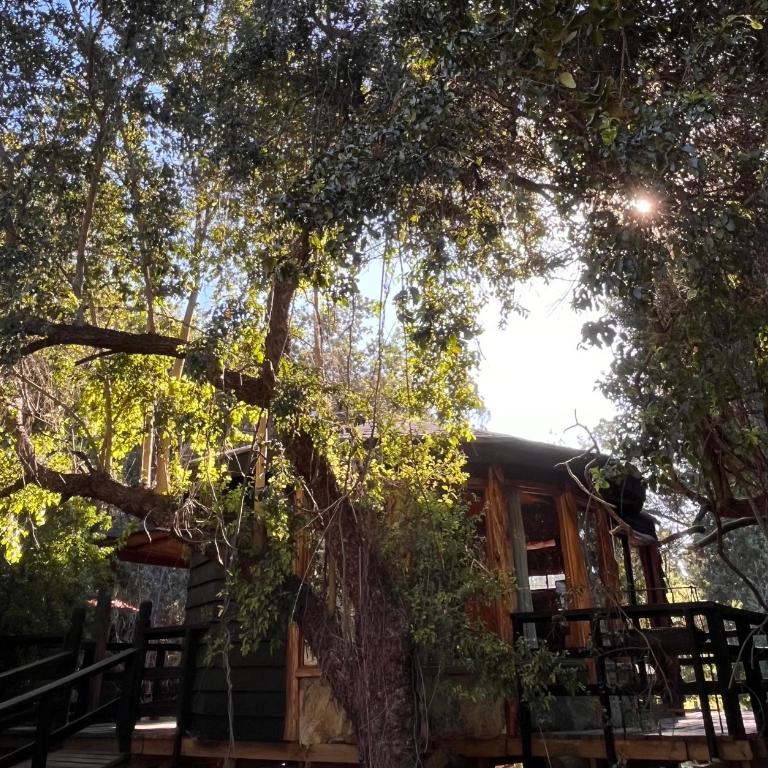 Reserva los Bollenes - Casa - 4