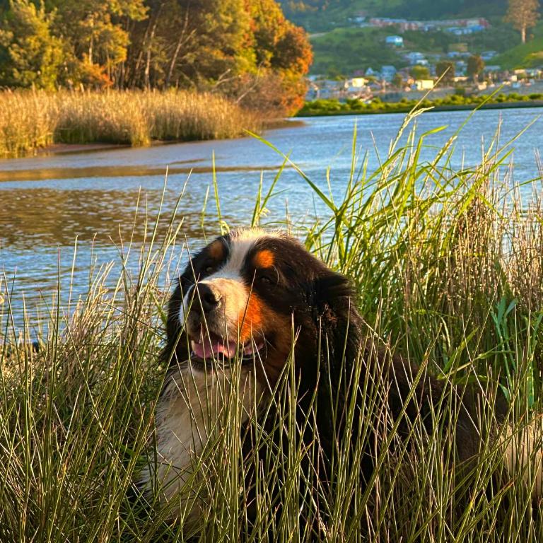 Reserva los Bollenes - Casa con 1 dormitorio - 5
