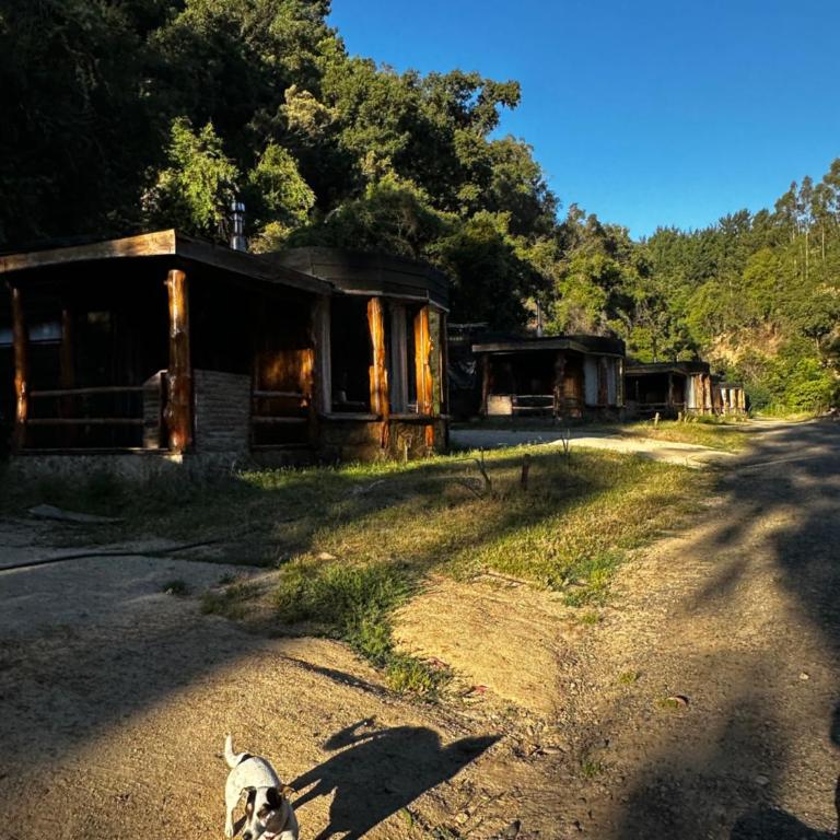 Reserva los Bollenes - Casa Unifamiliar de 2 dormitorios - 31