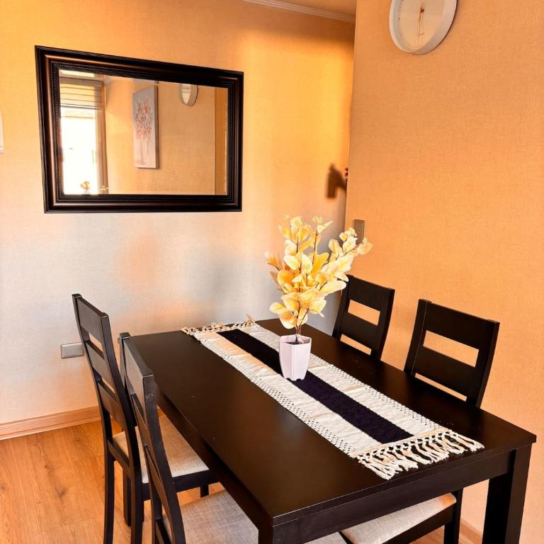 Departamento villarrica para 4 personas - Apartamento de 2 dormitorios - 10