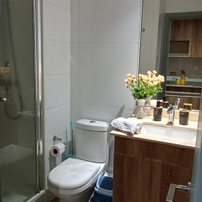 Departamento Barcelona Temuco - One-Bedroom Apartment - 9
