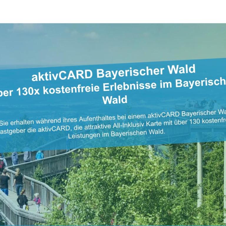 App mit Klima, Pool, Garage für Auto, Bike, Skier inkl AktivCARD bayerischer Wald - Apartamento con balcón - 1