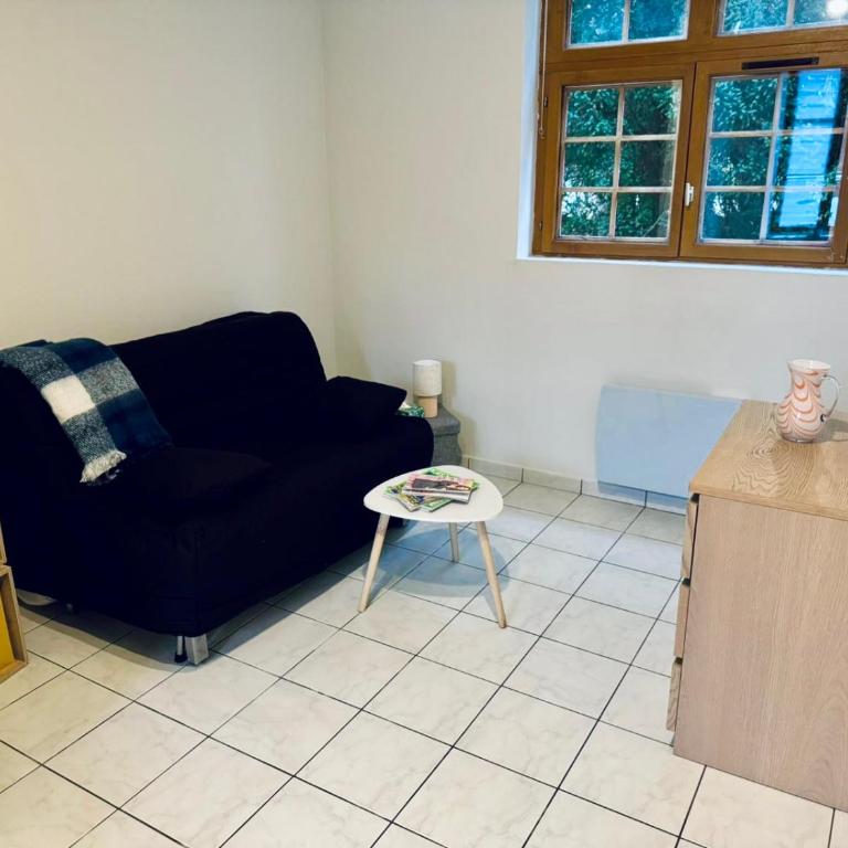 Studio Arquebuse - Centre de Troyes avec jardin - Appartamento Monolocale - 2