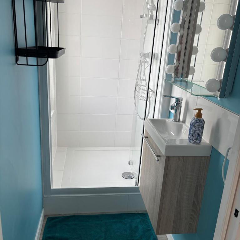 La Terasse de Tours - Villa 3 Chambres - 22