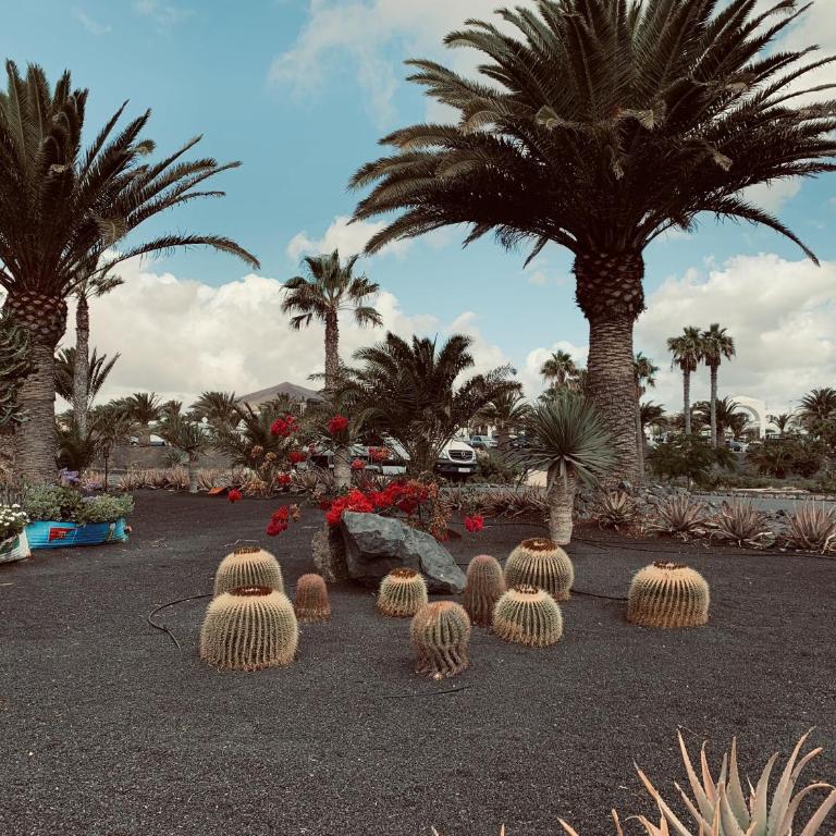 Casita Malvika - Luxury and Sea view - 1min to the Beach By Lanzarote Vacation Homes - Casa de 2 dormitorios - 47