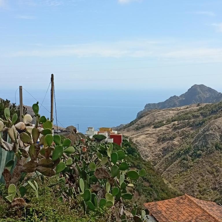 House Atlantico view with private jacuzzi - Casa con 1 dormitorio - 7
