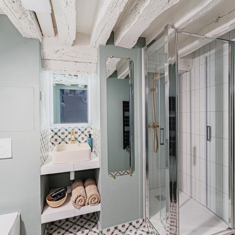 2BR apartment next to Notre Dame de Paris - Two-Bedroom Apartment - 13