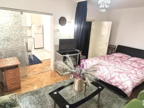 Nice and Comfy Central Apartment - Apartman sa 1 Spavaćom Sobom - 3