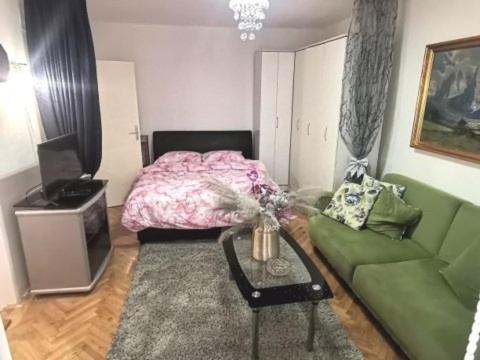 Nice and Comfy Central Apartment - Apartman sa 1 Spavaćom Sobom - 1