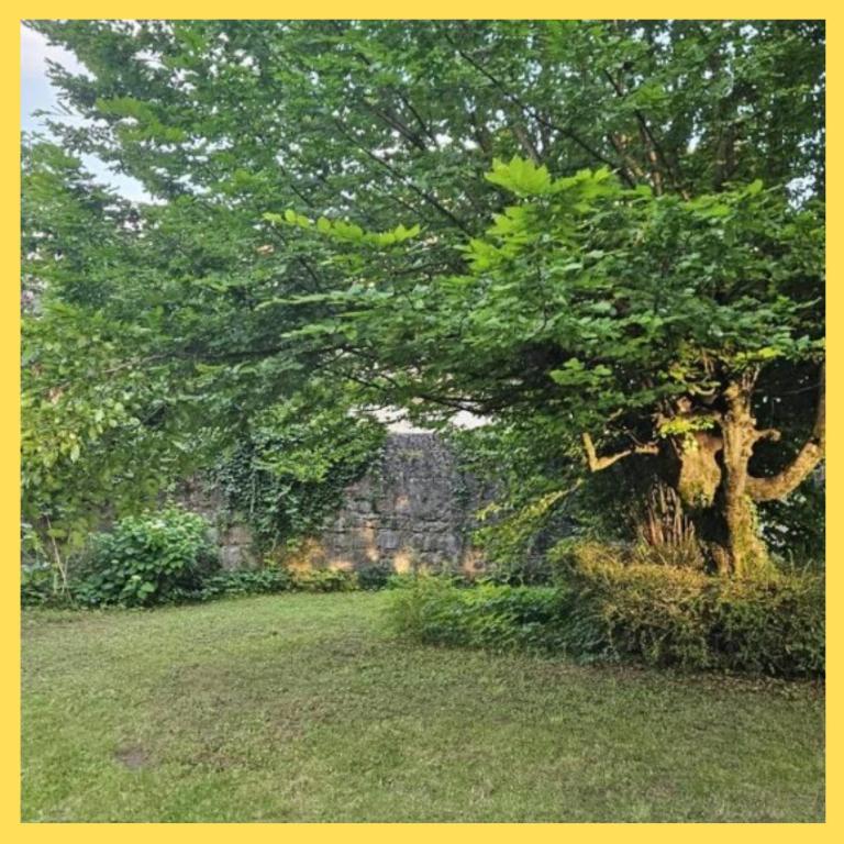 Maison avec jardin au coeur du village - Maison 5 Chambres - 26