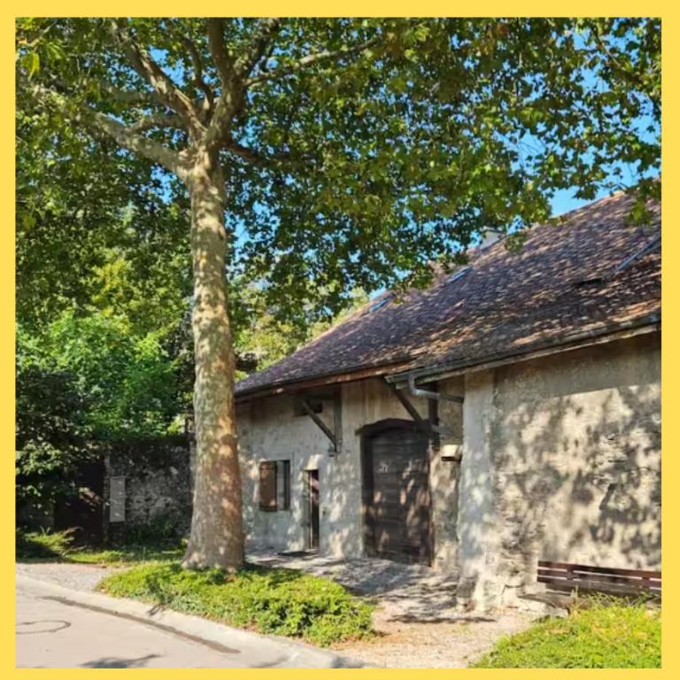 Maison avec jardin au coeur du village - Maison 5 Chambres - 28
