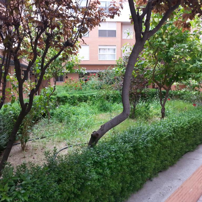 Apartamento Buhaira - Apartamento de 2 dormitorios - 29