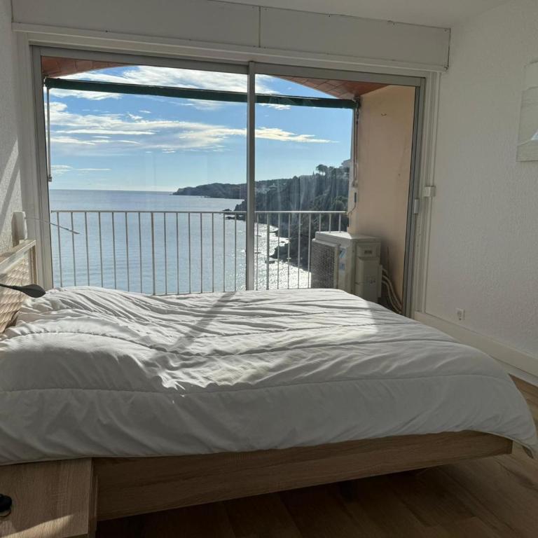 BANYULS-SUR-MER : Appartement T3 climatisé, proche plage - FR-1-309-281 - Two-Bedroom Apartment - 11