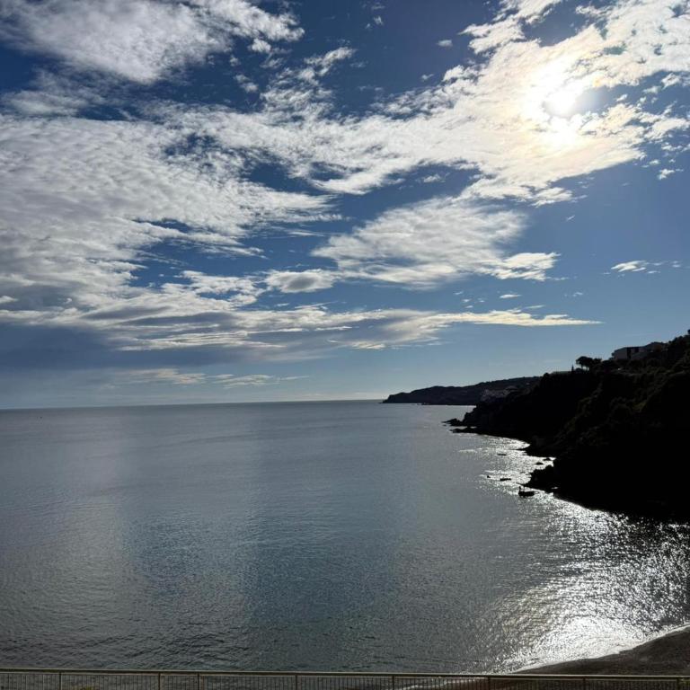 BANYULS-SUR-MER : Appartement T3 climatisé, proche plage - FR-1-309-281 - Two-Bedroom Apartment - 13