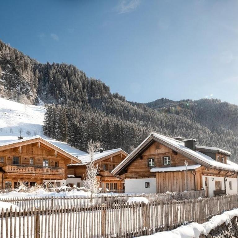 Chalet Frauenkogel - Ferienhaus - 1