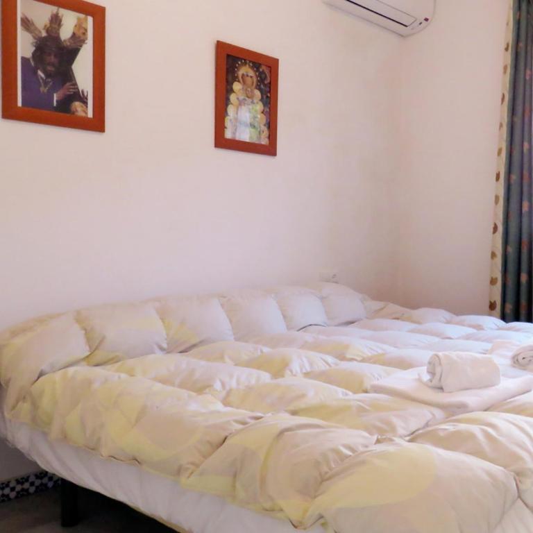 Los Pinos 4 - Apartamento de 3 dormitorios - 5